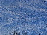 f0123373_2334470.jpg