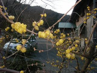 new year eve_d0087595_1705038.jpg