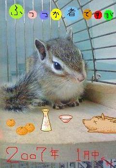 c0000111_23545262.jpg