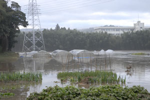 鴨川合宿_a0051924_2047554.jpg
