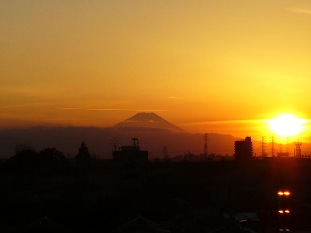 e0036628_20897.jpg