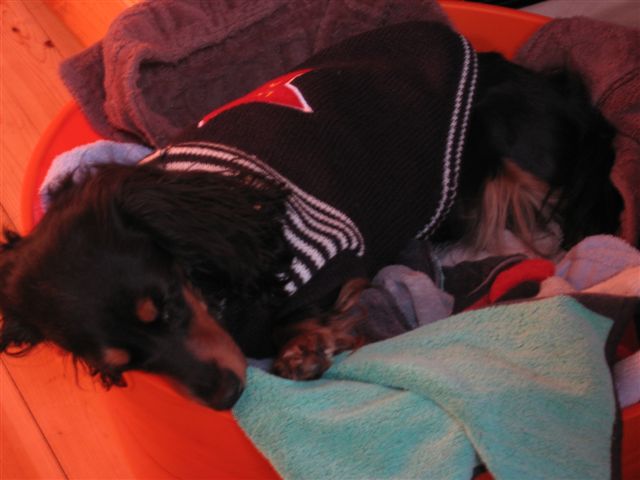 f0002532_1522979.jpg