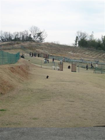 f0002532_1536984.jpg