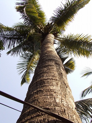 e0057760_94425100.jpg