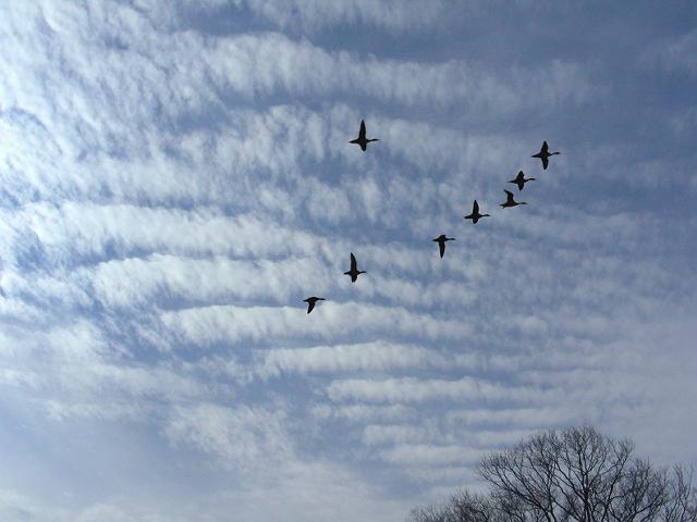 a0044076_17133846.jpg