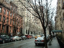 a0027277_1020995.jpg