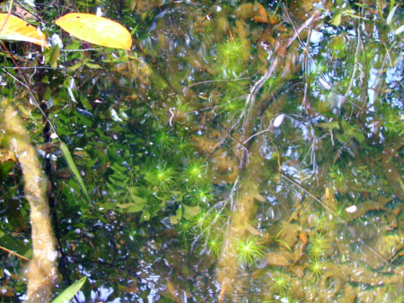 a0067578_8202446.jpg