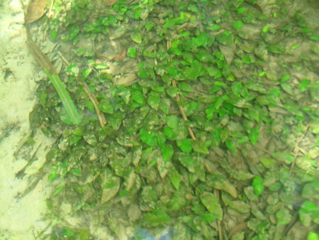 a0067578_8212988.jpg