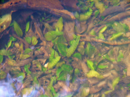 a0067578_8281331.jpg