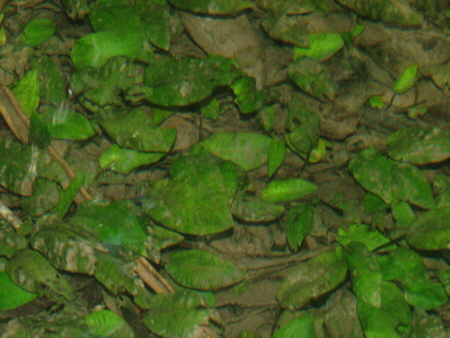 a0067578_864919.jpg