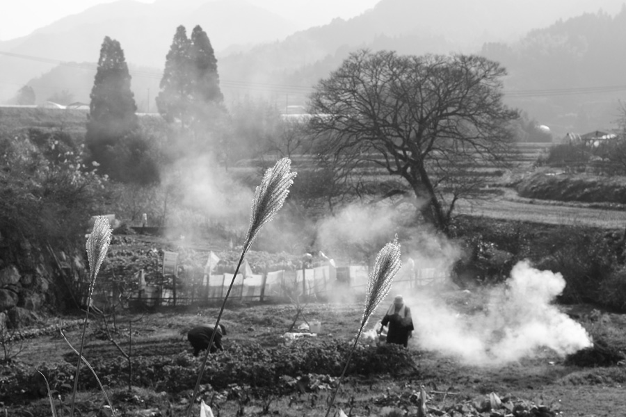 佐賀県大和町～唐津、山里から海へ４_c0007190_181294.jpg