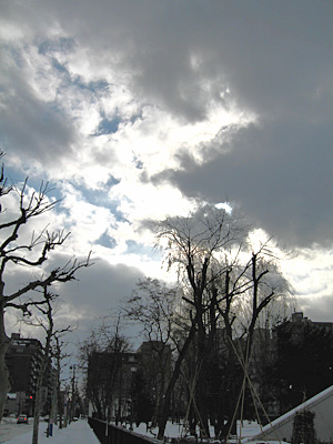 曇りときどき晴れ，夕方小雪2_b0055196_20493880.jpg