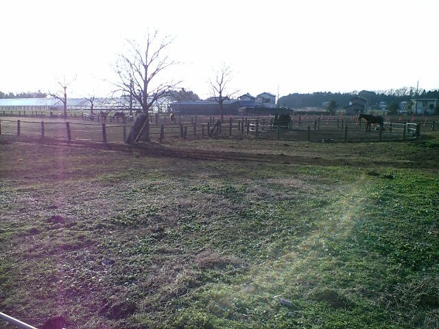 f0017096_18175337.jpg