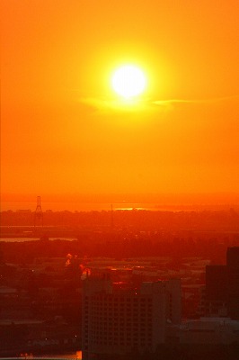 c0053898_10331989.jpg