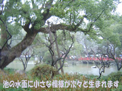 c0052304_1763285.jpg