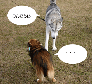 a0041108_22425184.gif
