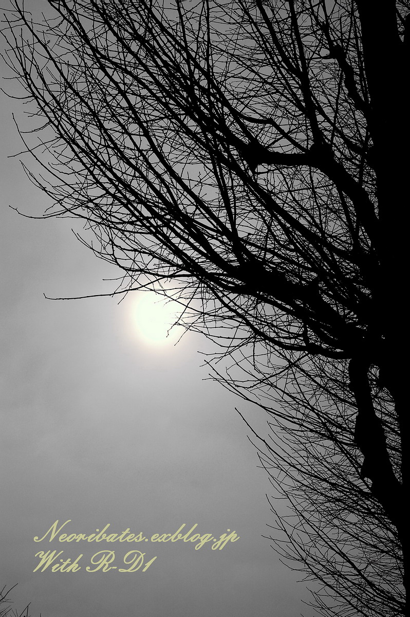 f0071708_121216.jpg