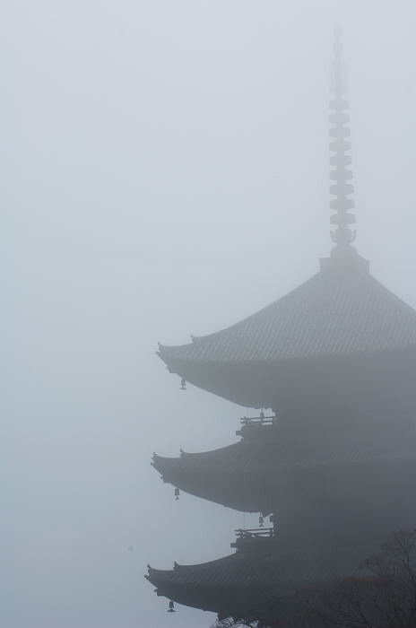 f0032011_16413495.jpg