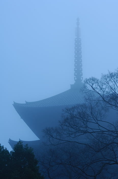 f0032011_164235.jpg