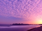 難病?Mさん回復の兆し・・・・ №,1 真実は・・_e0097212_11465995.jpg