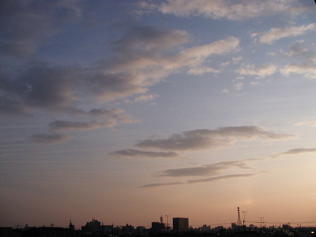 a0030713_1947773.jpg