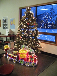 ａｌａｓｋａ旅行 チェナ温泉でのオーロラ L A の暮らし