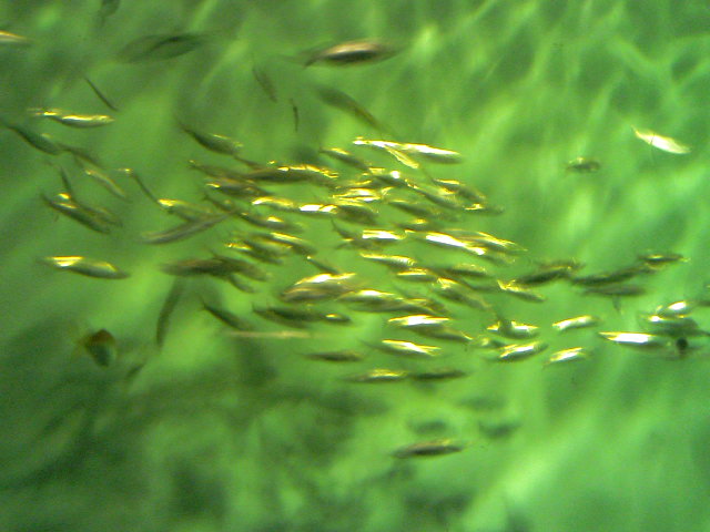 b0088524_08362.jpg
