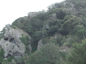 d0031826_21485793.jpg
