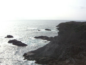 d0031826_2150486.jpg