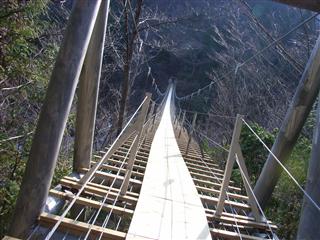 c0039428_2028194.jpg