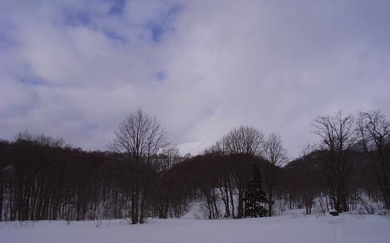 f0118332_202246.jpg