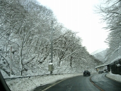 f0039933_23572564.jpg