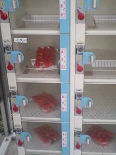 道端で農産物販売_b0038741_17234421.jpg