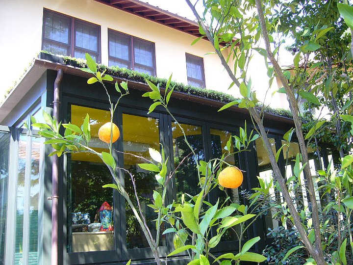 近江八幡の日牟禮カフェ_c0094541_1553589.jpg