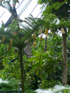 e0092444_1132984.jpg