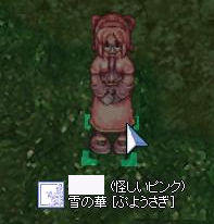 私のピンクコレクション★ その1_f0108346_1114397.jpg