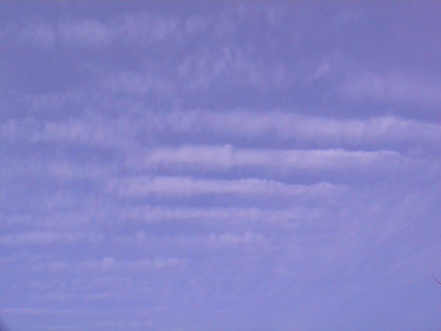 e0060555_2385234.jpg