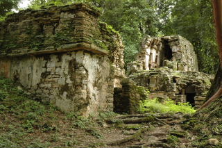 b0032666_16232.jpg