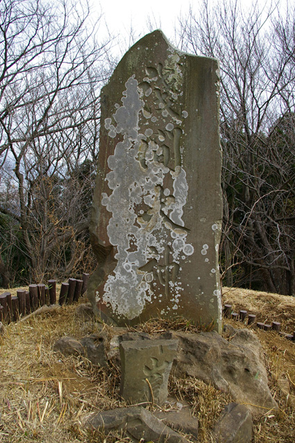 初詣は八雲神社→翔舞輝福観世音菩薩→円覚寺→六国見山_c0014967_0123323.jpg