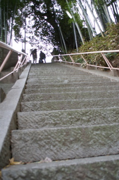 e0095468_16202314.jpg