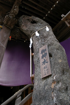 e0095468_16241629.jpg