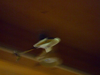 d0078178_23295387.jpg