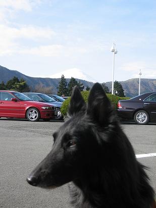 c0052779_033888.jpg