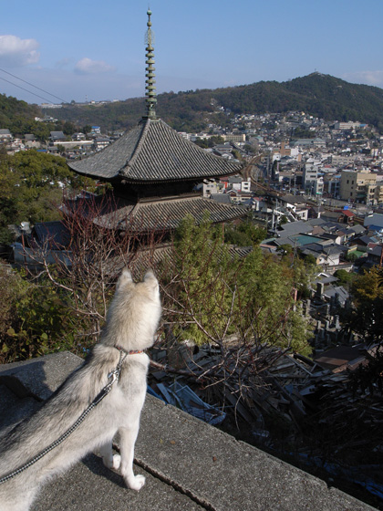 フーテンの寅さん旅　～2006年12月24日_c0049299_1644723.jpg