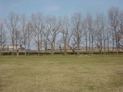 e0057499_2346670.jpg