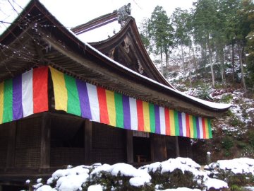 f0120102_1146041.jpg