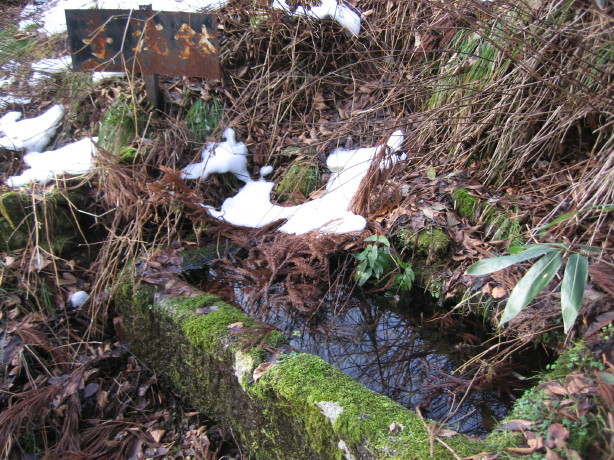 1月3日　天吉寺山に登って来ました_d0103314_1073080.jpg