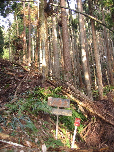 1月3日　天吉寺山に登って来ました_d0103314_9542770.jpg