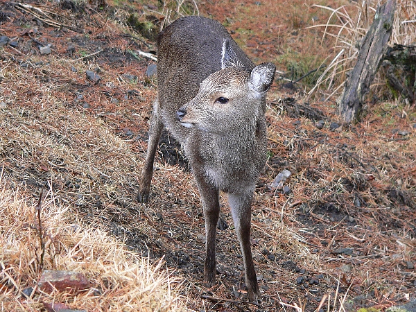e0002314_22465888.jpg