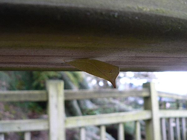 e0002314_22525560.jpg